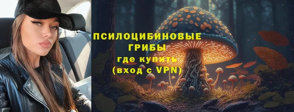 ПСИЛОЦИБИНОВЫЕ ГРИБЫ Россошь