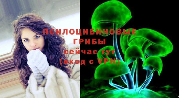 марки lsd Белокуриха