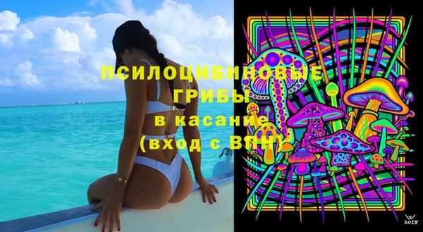 таблы Богданович